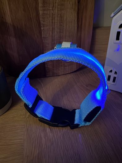 dog collar