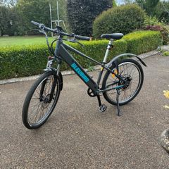 Electric bike