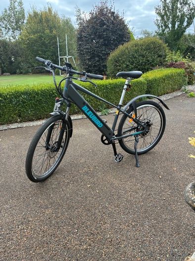 Electric bike