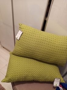 2 x sage  green cushions BNWT