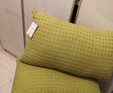 2 x sage  green cushions BNWT