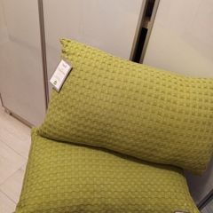 2 x sage  green cushions BNWT