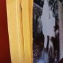 Aidan Higgins/ Donkey's Years / Autobiography/ 1996 Image 4