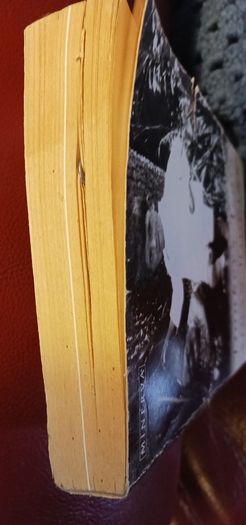 Aidan Higgins/ Donkey's Years / Autobiography/ 1996