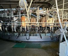 Relief Milking & Part time work available