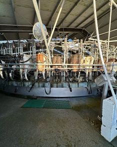 Relief Milker & holiday cover Available