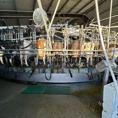 Relief Milker & holiday cover Available
