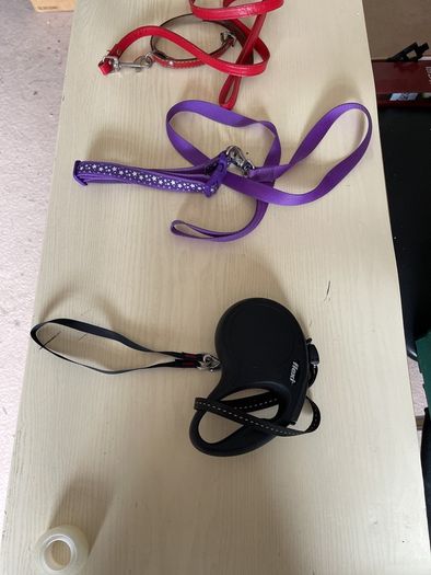 dog leads x3