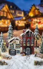Handcrafted wooden houses!