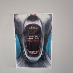 American Horror Story Canvas Print