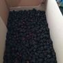 Blackberries Image 3