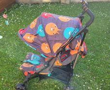 'Cosato' Buggy