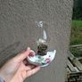 Rose ceramic miniature oil lamp postage possible Image 3