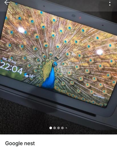 Google nest