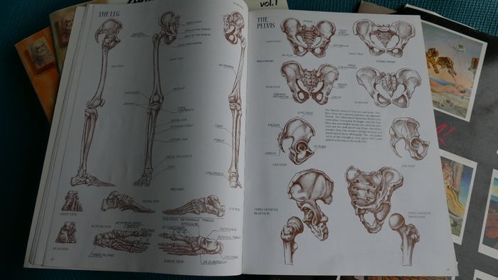Collection of Vintage Books