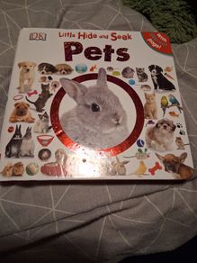 little hide and seek pets