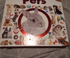 little hide and seek pets