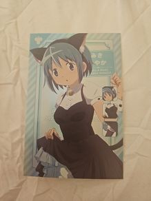 Madoka Magical Girl Card/PostCard