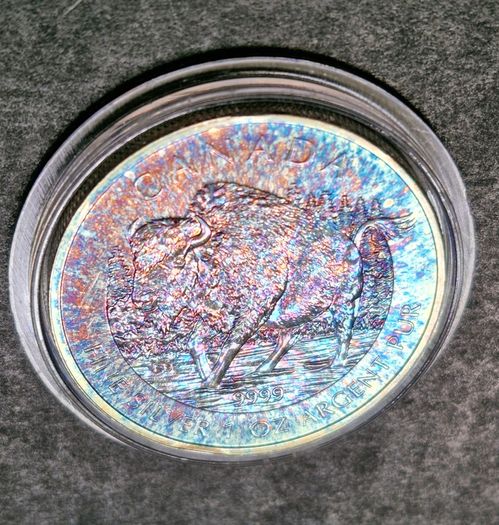 1 Oz 2013 Canada 5 Dollar .9999 Wildlife Series: Bison Toned coin