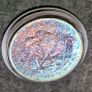 1 Oz 2013 Canada 5 Dollar .9999 Wildlife Series: Bison Toned coin Image 2