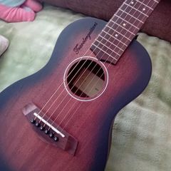 travel guitar acoustic with bag