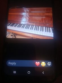 musical instruments
