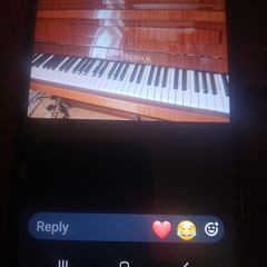 musical instruments
