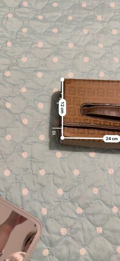 Fendi Zucca Vintage Classic