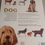 Dog encyclopedia Image 4