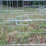 Hen.  Chicken Rabbit. Wire Runs. Lifter Jack. Image 4