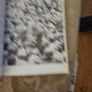 This 1982 first edition copy of "Irish Rugby Scrapbook" by Edmund Van Esbeck. Large volume paperback in good condition.  This 1982 first edition copy of "Irish Rugby Scrapbook" by Edmund Van Esbeck photos for same. Image 7