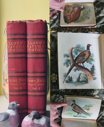 Scarce Lloyd's Natural History - 1896/7, 2 Vol. Set. Free Postage.