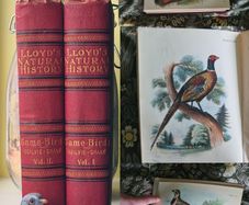 Scarce Lloyd's Natural History - 1896/7, 2 Vol. Set. Free Postage.