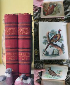 Scarce Lloyd's Natural History - 1896/7, 2 Vol. Set. Free Postage.