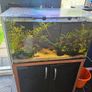 fish tank Aquarium Reef Tank Image 2