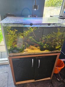 fish tank