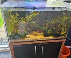 fish tank