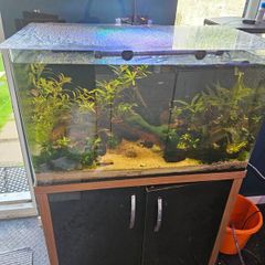 fish tank