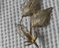 Sterling silver brooch