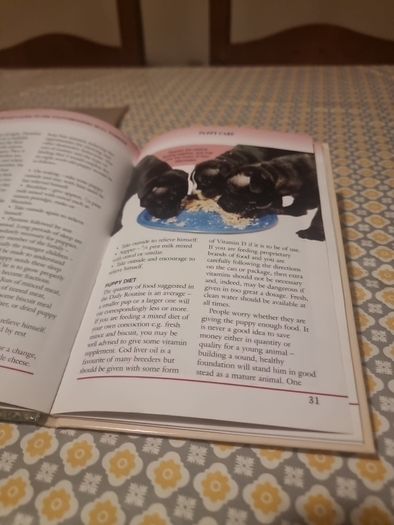 Pet Owners Guide to the Staffordshire Bull Terrier (Hardcover)