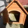 Medium Dog box Image 5