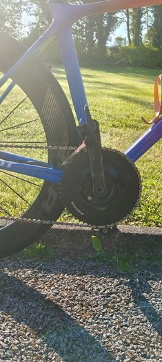 Giant TCR