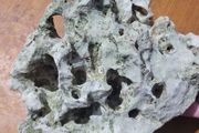 marine rocks