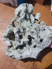 marine rocks