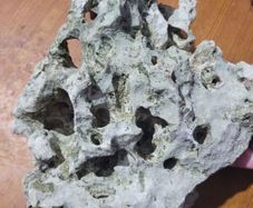 marine rocks
