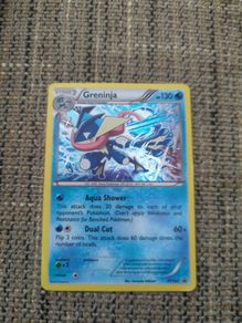 Greninja XY162
