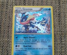 Greninja XY162