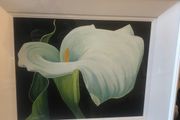 Arum Lily- Nicola Lynch Morrin