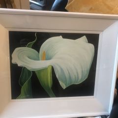 Arum Lily- Nicola Lynch Morrin