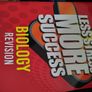 Less stress more success Image 2